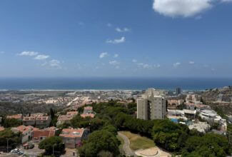  פרויד 44