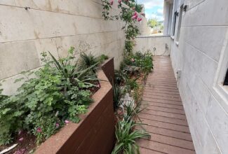  שדרות וודג'ווד