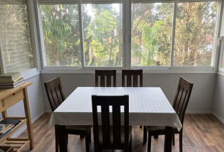  שושנת הכרמל