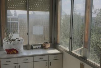  שפרה